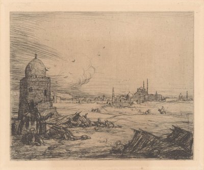 Vista de la ciudad con mezquitas de Marius Bauer