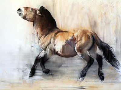 Caballo antiguo (Przewalski en invierno) de Mark Adlington