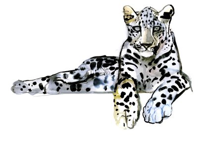 Leopardo Árabe, 2008 de Mark Adlington