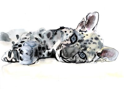 Cachorro de leopardo árabe, 2008 de Mark Adlington