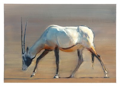 Órix árabe, 2010 de Mark Adlington