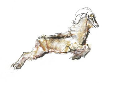 Tahr árabe, 2009 de Mark Adlington