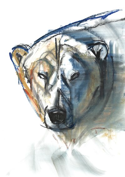 Icono ártico, 2015 de Mark Adlington