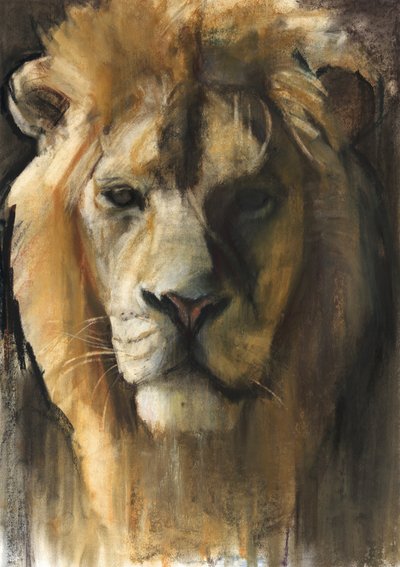 León asiático, 2015 de Mark Adlington