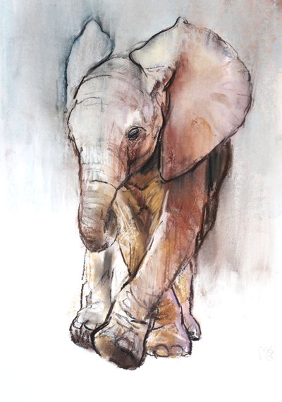 Elefante Bebé 2, Loisaba, 2018 de Mark Adlington