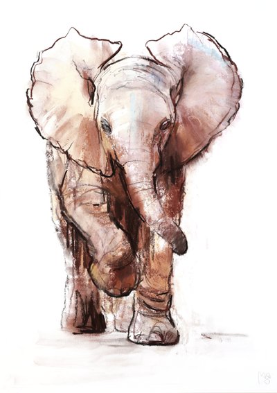 Elefante bebé, Loisaba, 2018 de Mark Adlington