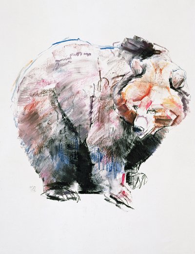 Oso de Mark Adlington