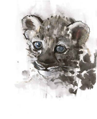 Ojos azules (cachorro de leopardo árabe), 2008 de Mark Adlington