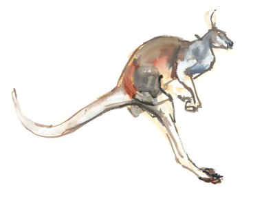 Boing, (Canguro Rojo) de Mark Adlington