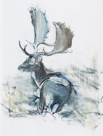 Ciervo en la hierba, 2006 de Mark Adlington