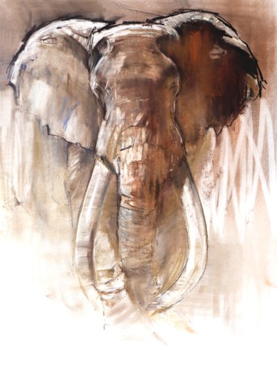 Elefante macho, 2018 de Mark Adlington