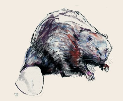 Castor Fiber, 2001 de Mark Adlington
