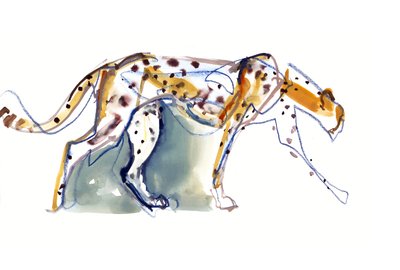 Cheetah, 2022 de Mark Adlington