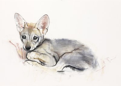 Cachorro de lobo árabe rizado, 2009 de Mark Adlington