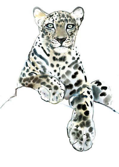 Directo (Leopardo Árabe), 2015 de Mark Adlington