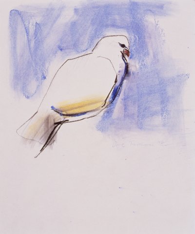 Paloma, Trasierra, 1998 de Mark Adlington