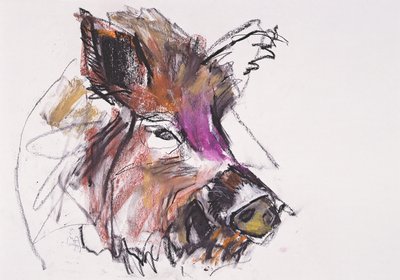 Dzik de Mark Adlington