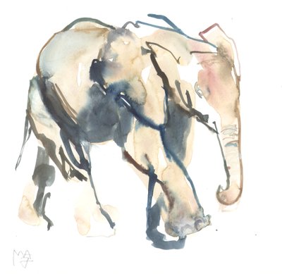 Elefante bebé, Loisaba, 2017 de Mark Adlington