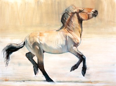 Equus (Przewalski) de Mark Adlington