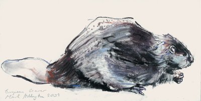 Castor europeo (Estudio) 2001 de Mark Adlington
