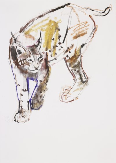 Lince europeo de Mark Adlington