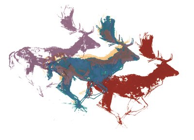 Ciervos gamos (tres), 2015 de Mark Adlington