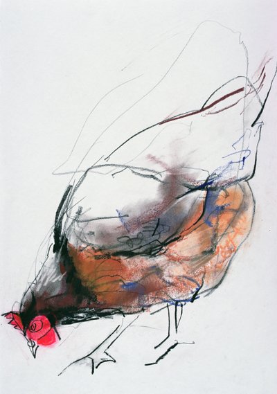 Gallina alimentándose, Trasierra, 1998 de Mark Adlington