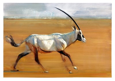 Órix galopando, 2010 de Mark Adlington