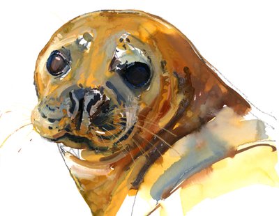 Ginger Pup, Westcove, 2023 de Mark Adlington