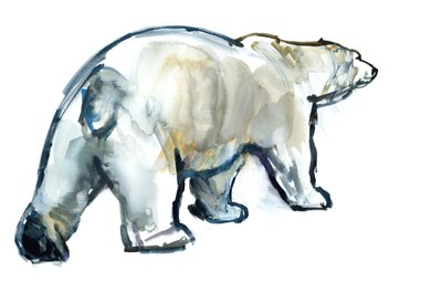 Glacier Mint (Oso polar), 2013 de Mark Adlington