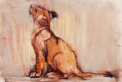 Cachorro de oro, 2020 de Mark Adlington