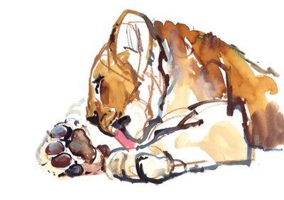 Aseo del cachorro, 2019 de Mark Adlington