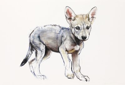 Cachorro de lobo árabe vacilante, 2009 de Mark Adlington