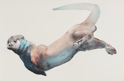 Caza en las profundidades de Mark Adlington