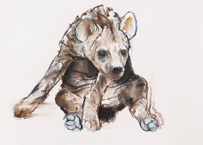 Cachorro de hiena (cabeza baja) de Mark Adlington