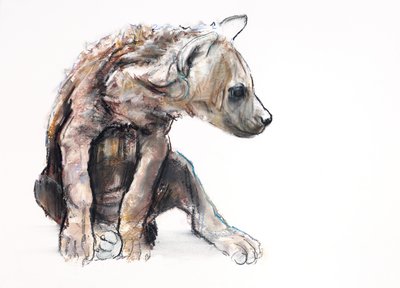 Cachorro de hiena (perfil) de Mark Adlington