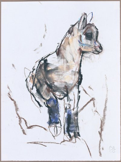 Cabrito de íbice de Mark Adlington
