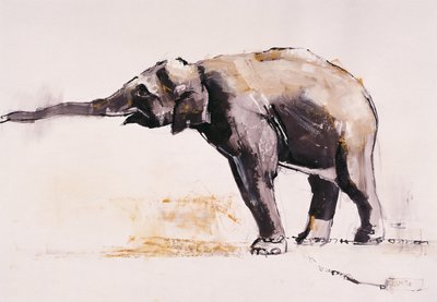 Elefante Indio, Khana de Mark Adlington
