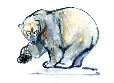 Isbjørn, 2013 de Mark Adlington