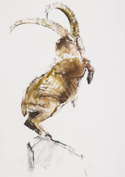 Rey de la montaña, 2005 de Mark Adlington