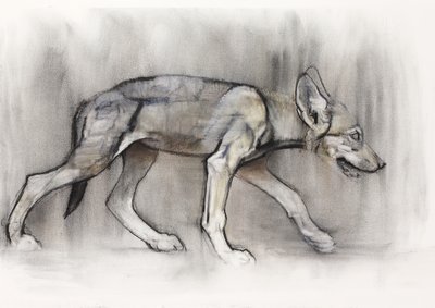 Cachorro flaco (Lobo árabe), 2009 de Mark Adlington