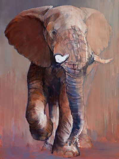 Toro de Loisaba, 2018 de Mark Adlington