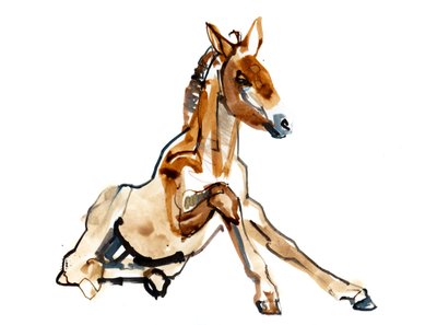 Potro ocre (Przewalski), 2013 (tinta sennelier, acuarela y gouache) de Mark Adlington