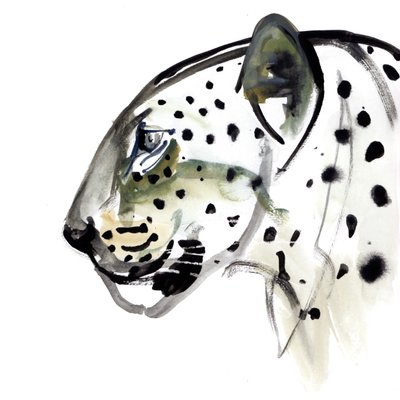 Perfil perfecto, 2015 de Mark Adlington