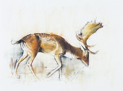 Pisanello Buck, 2006 de Mark Adlington