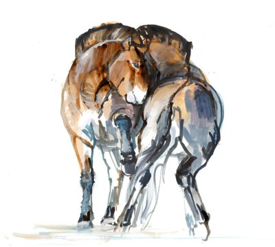 Danza de poder (Przewalski), 2013 de Mark Adlington