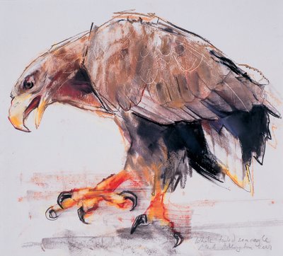 Raptor, 2001 de Mark Adlington