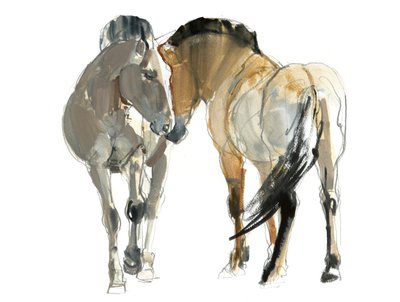 Rencontre (Przewalski), 2013 de Mark Adlington