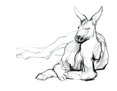 Atleta Descansando (Canguro Rojo), 2012 de Mark Adlington