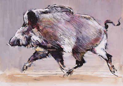 Jabalí corriendo, 1999 de Mark Adlington